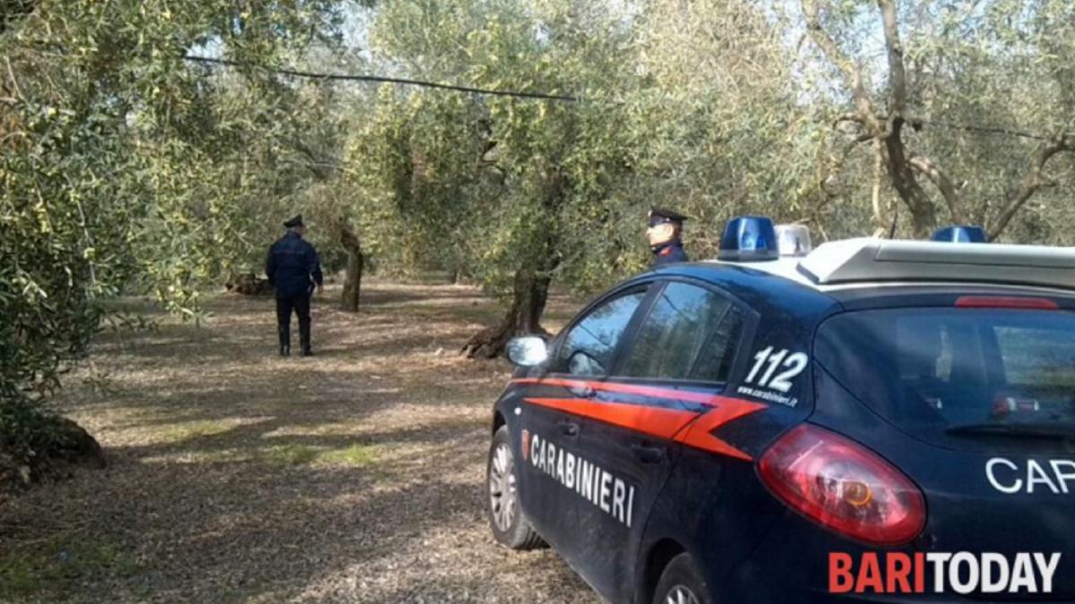 italia--roman--ucis-brutal-sub-ochii-sotiei--trupul-sau-neinsufletit--abandonat-intr-o-magazie