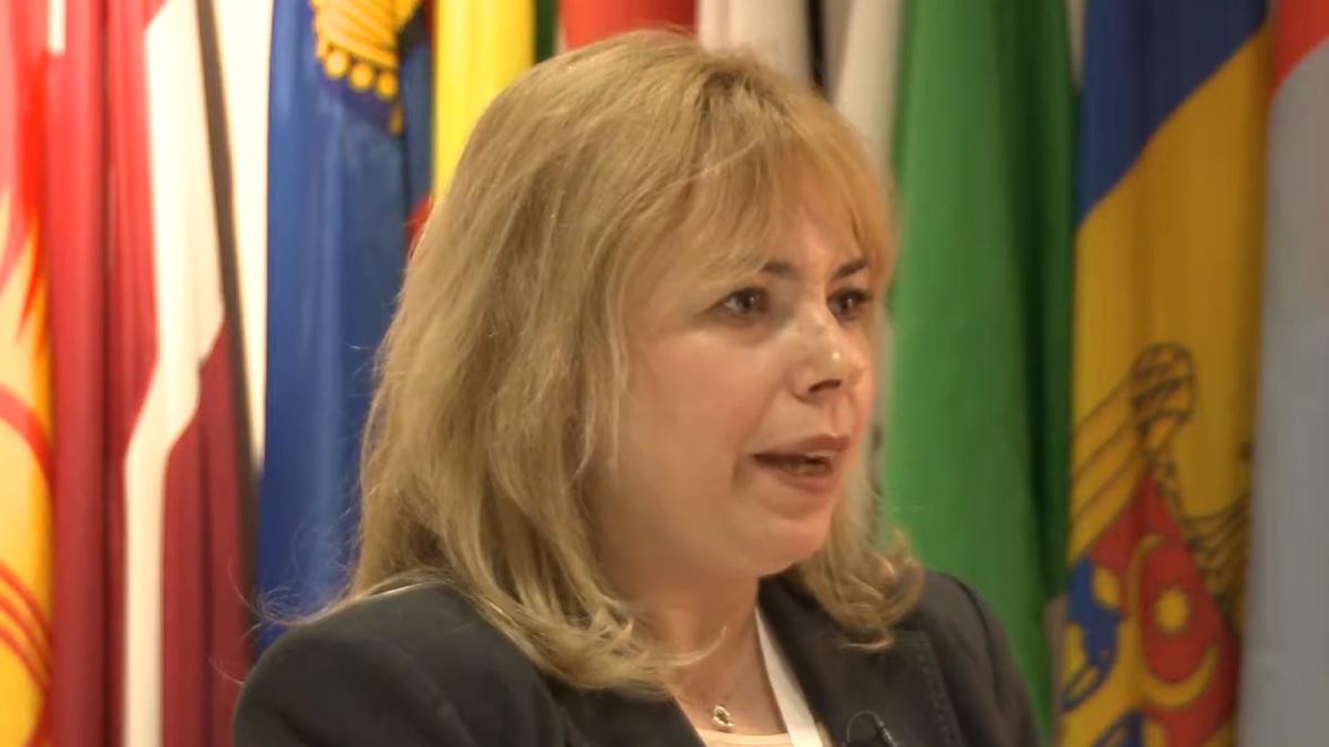 presedintele-senatului--anca-dragu--declaratie-surprinzatoare-prc-e2prc-80prc-9ecel-mai-performant-guvern--cel-condus-de-nastaseprc-e2prc-80prc-9d