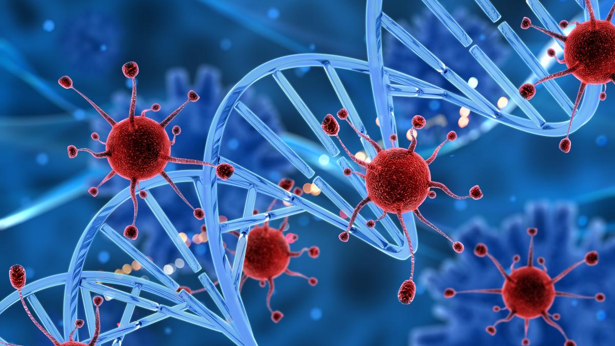 cercetatorii-au-descoperit-un-nou-tip-de-coronavirus-de-origine-canina