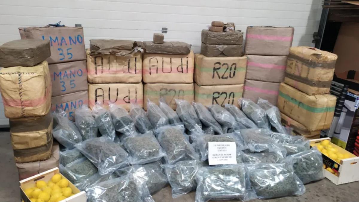 sofer-roman-de-tir-droguri-franta-o-tona-de-cannabis