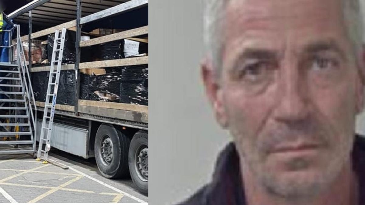 podar-trific-migranti-uk