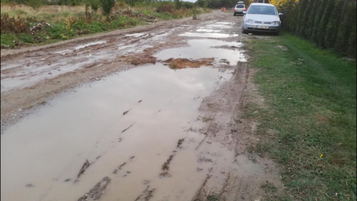 femeie-mers-pe-jos-ca-sa-scuteasca-5-lei