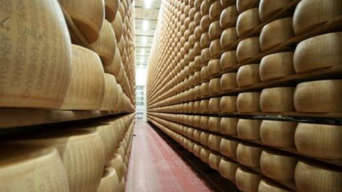 italia--un-moldovean-care-a-furat-120-de-roti-de-cascaval--de-50-000-de-euro--prins-dupa-7-ani--dat-de-gol-de-un-muc-de-tigara