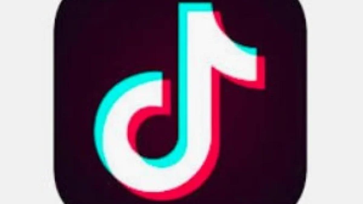 tiktok_internet_fara_drepturi_de_autor_05063700