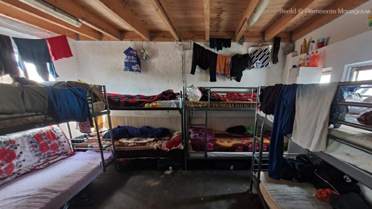 olanda--peste-50-de-muncitori-romani--tinuti-in-prc-e2prc-80prc-9econditii-deplorabileprc-e2prc-80prc-9d-la-o-ferma--prc-e2prc-80prc-9eerau-vulnerabili-si-se-temeau-de-patronprc-e2prc-80prc-9d