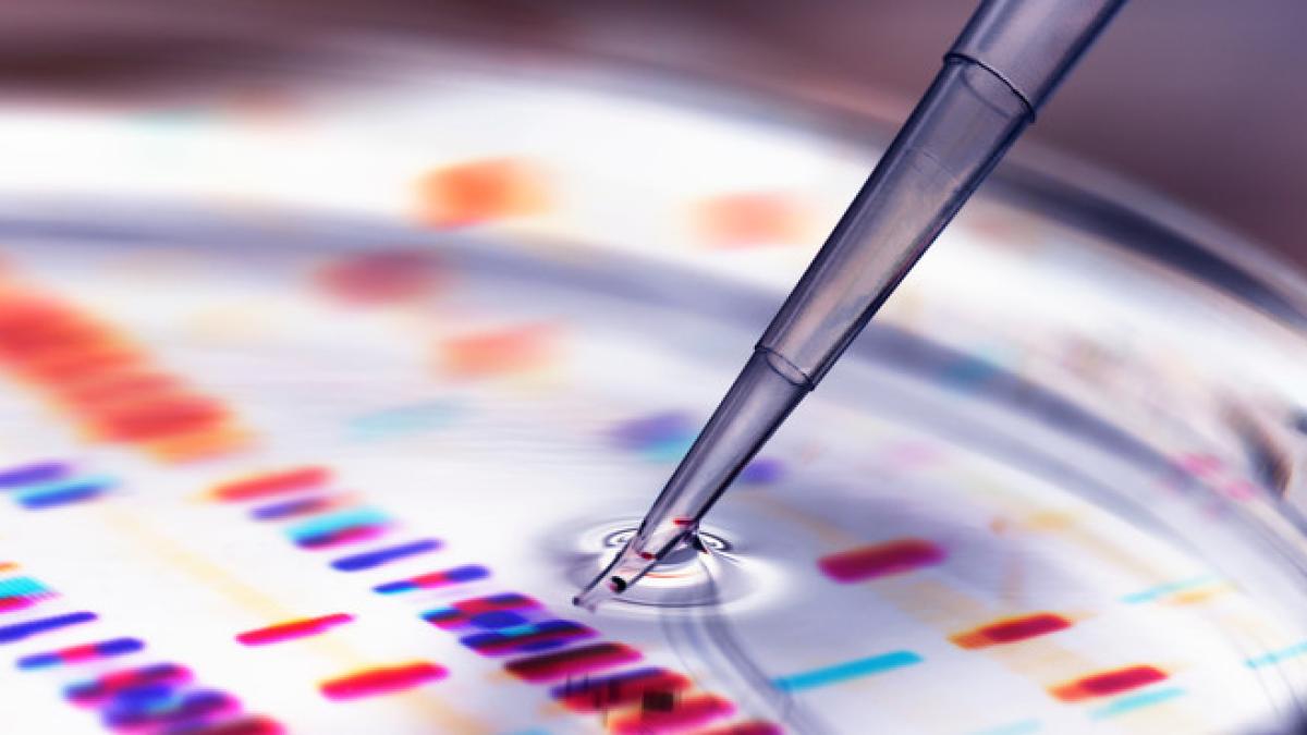 mutatie_tulpina_covid