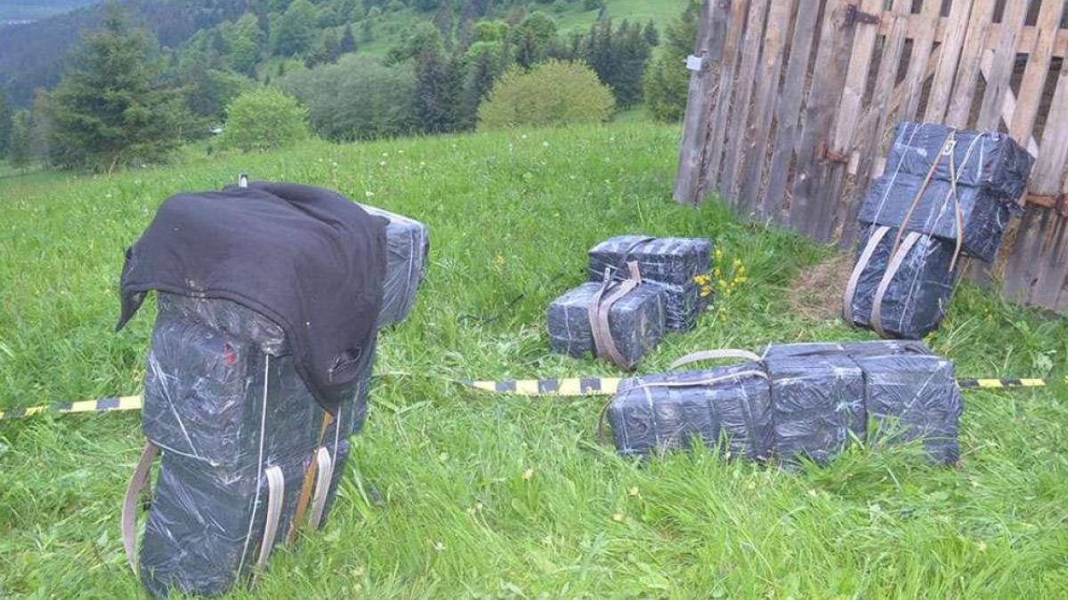 s-au-tras-mai-multe-focuri-de-arma-la-granita-romaniei