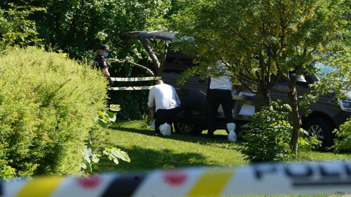 crima-roman-norvegia