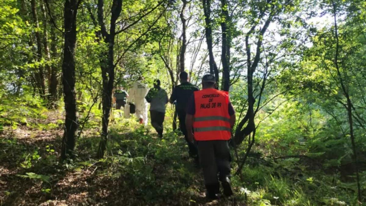 roman-disparut-spania-gasit-mort