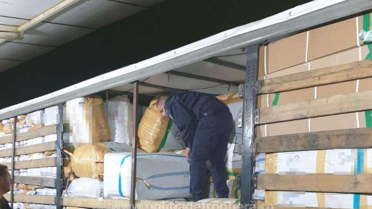 haine-contrafacute--in-valoare-de-un-milion-de-euro--confiscate-de-politistii-de-la-garda-de-coasta