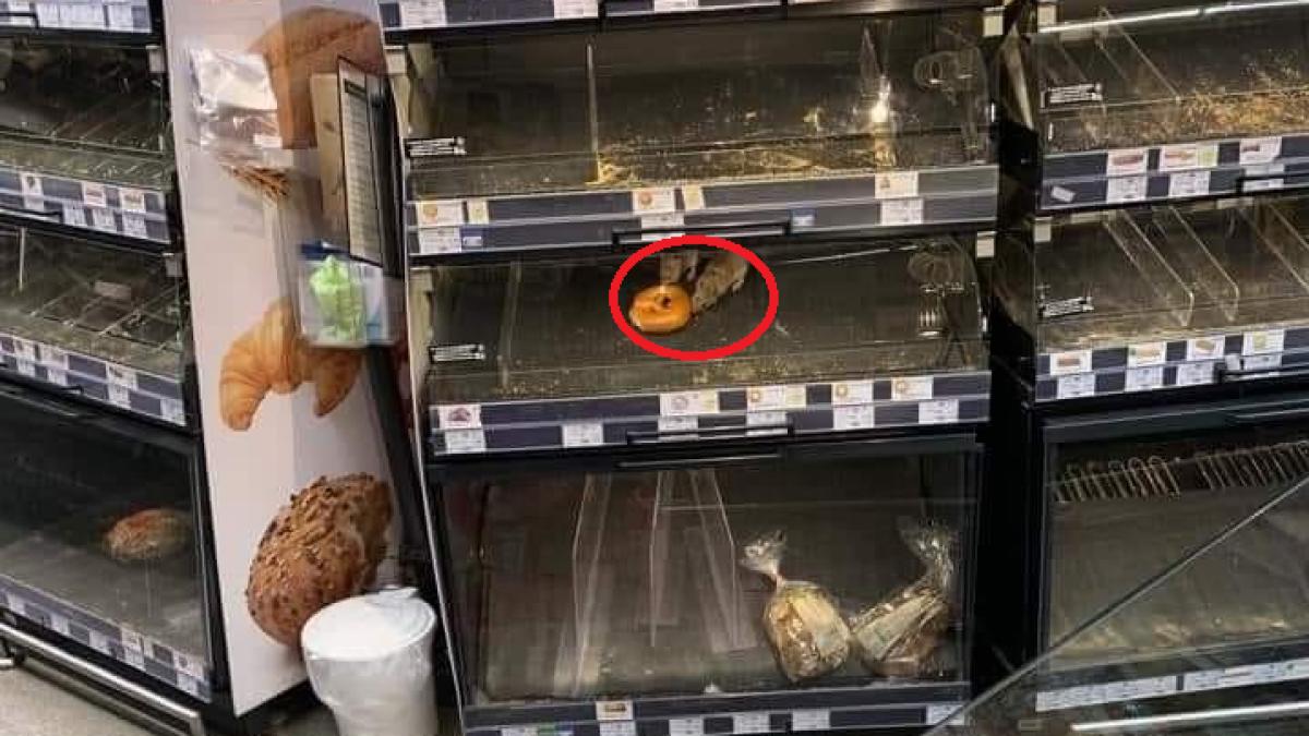 sobolan-in-magazin-fb-cropped