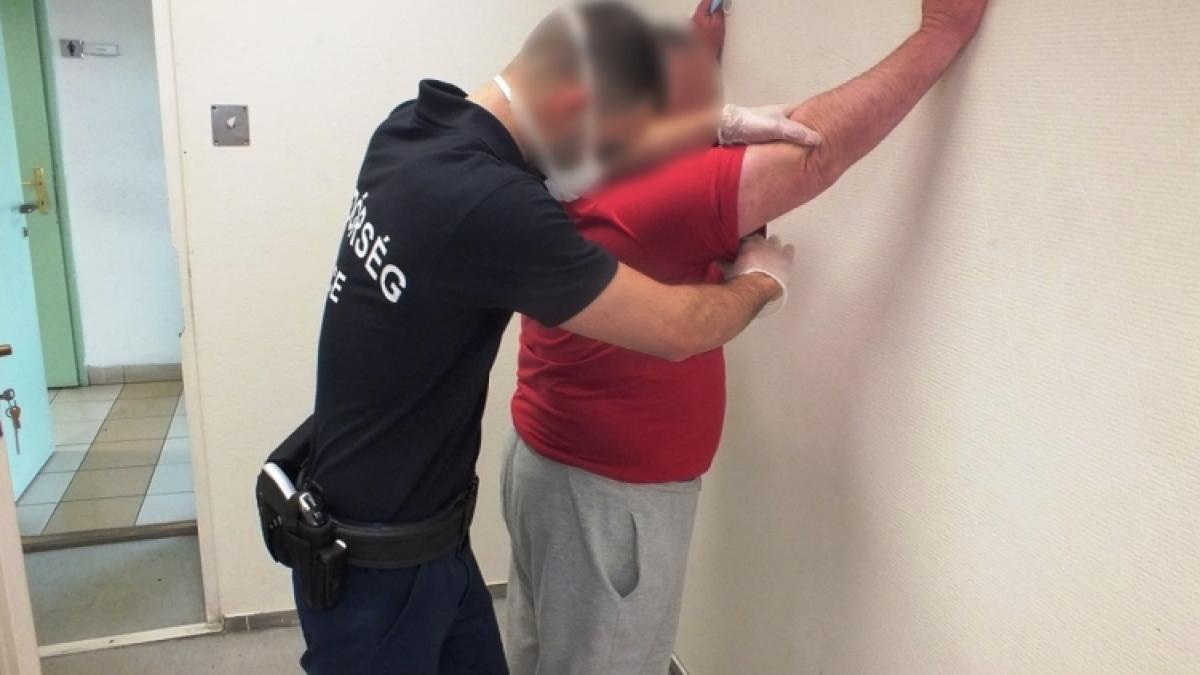 roman-perchezitiie-ungaria-polities