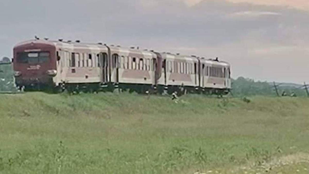 un-tren-cu-pasageri-a-deraiat-pe-un-camp-din-botosani--dupa-ce-o-vaca-a-sarit-pe-sine