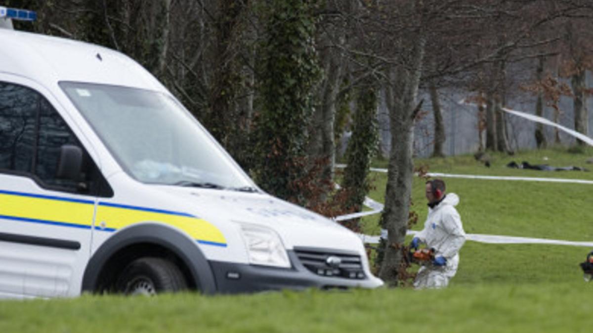 muncitor-roman--ucis-intr-un-parc-din-dublin-prc-e2prc-80prc-9ea-fost-ghemuit-la-pamant-si-batut-cu-bestialitateprc-e2prc-80prc-9d