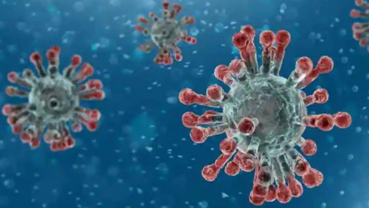 o-noua-tulpina-mutanta-a-variantei-delta--descoperita-in-india--autoritatile-sanitare--in-alerta