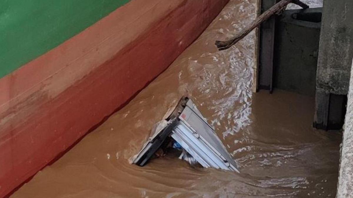 sofer-roman-de-tir-disparut-franta