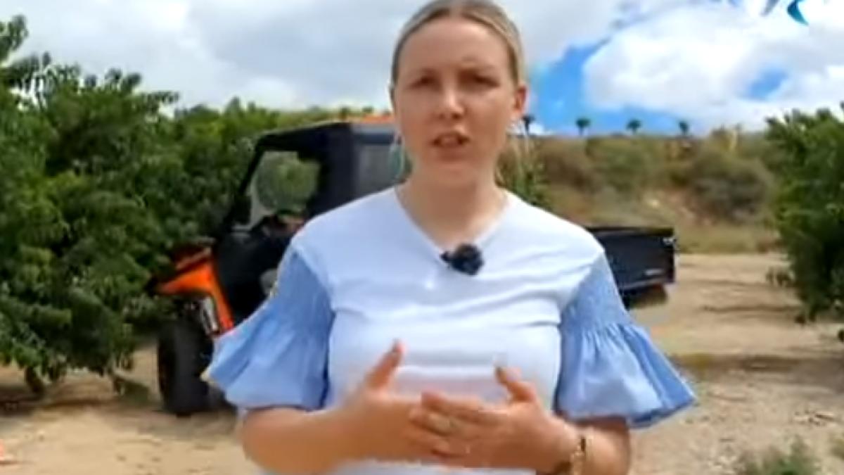 anamaria-romanca-spania