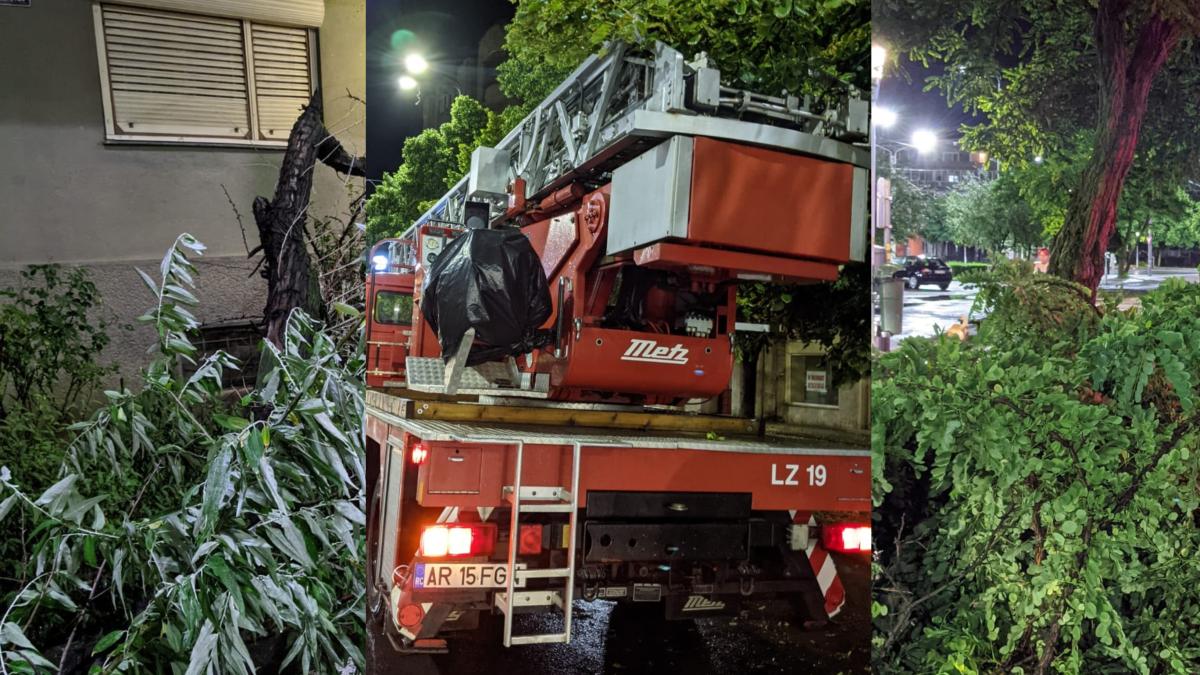 furtuna-arad-cod-rosu-poze-primarie