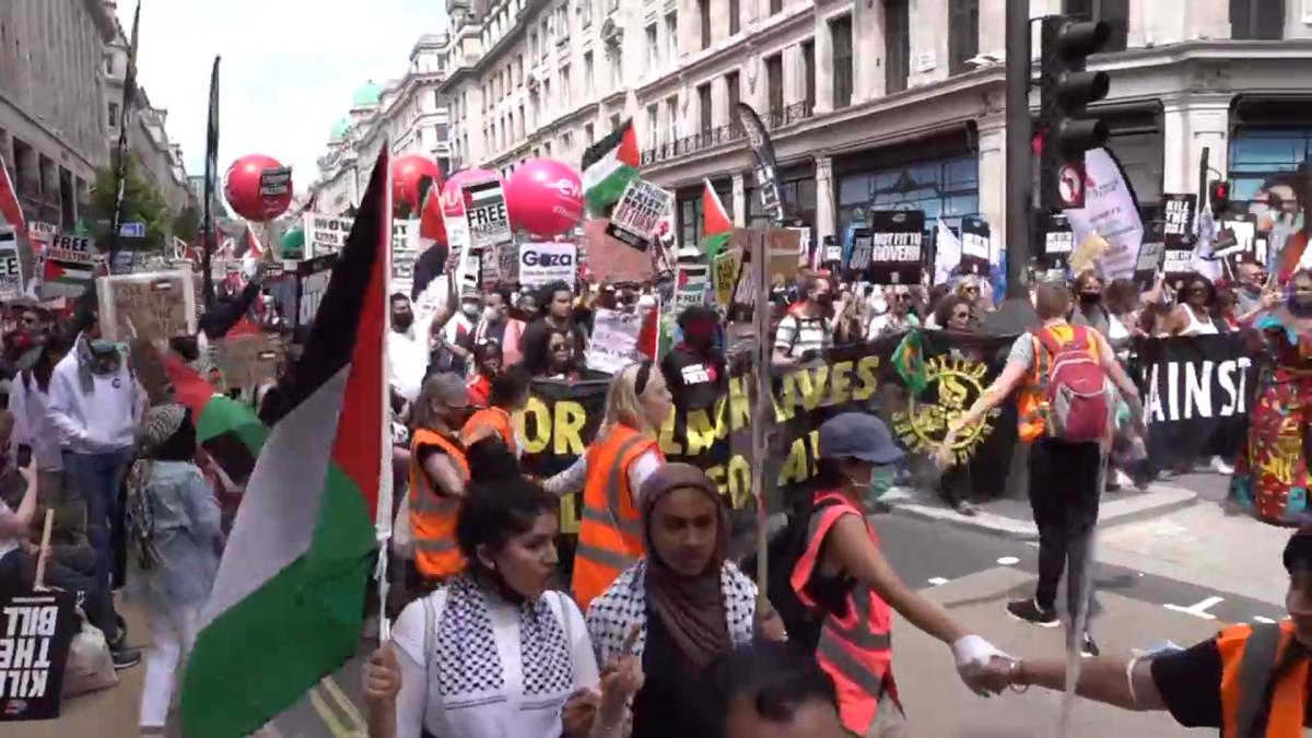 protest-in-londra-impotriva