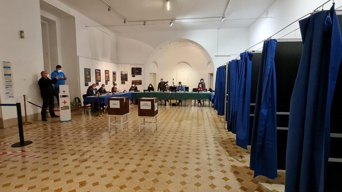 caine_vot_alegeri_semnatura_diaspora_parlamentare_romani_alegatori_urna_italia