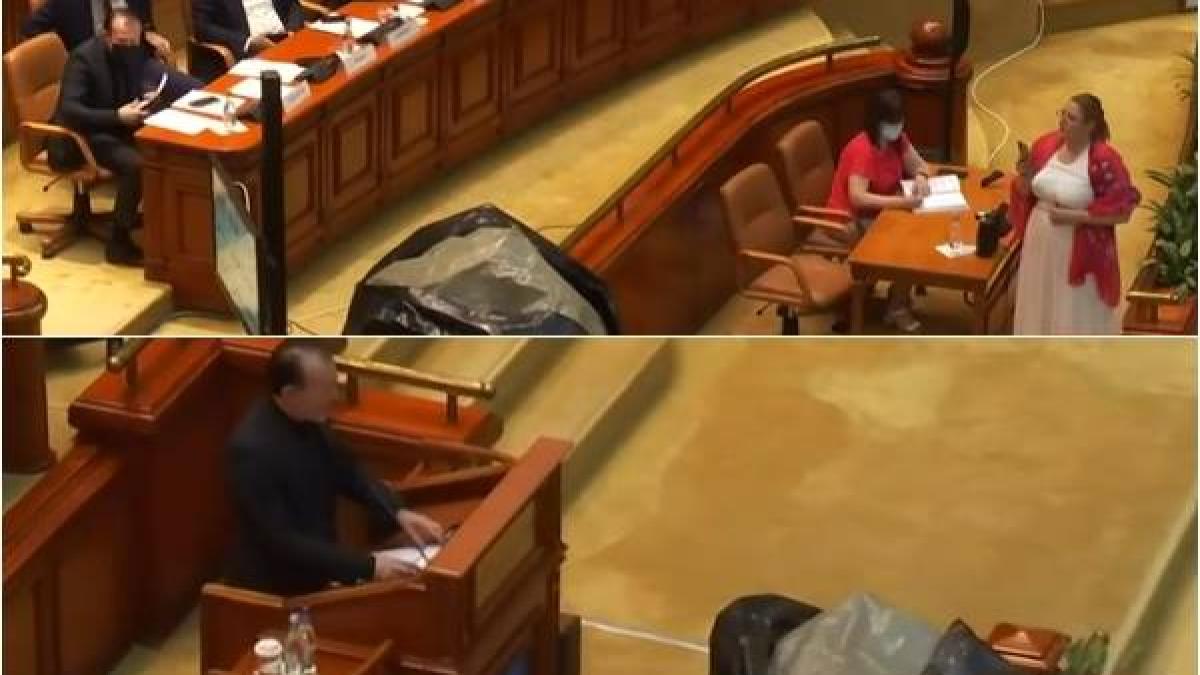 diana-sosoaca-saci-parlament