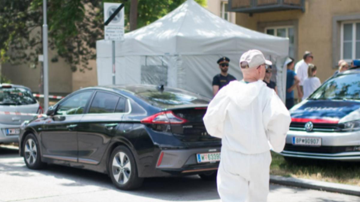 austria--fetita-de-13-ani--gasita-moarta--a-fost-drogata--violata-si-ucisa