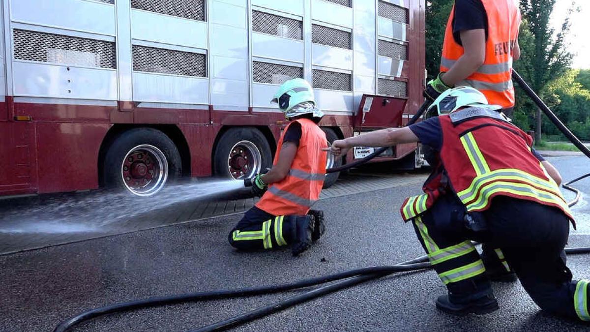 purcei-germania-tir-romania