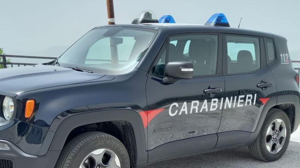 italia--un-roman--inarmat-cu-o-secure--a-atacat-carabinierii-si--trecatorii--barbatul-a-scapat-doar-cu-un-avertisment