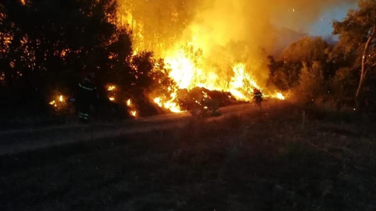 incendiu_vegetatie_sardinia_italia_sursa_fb_ministru_mediu_gianni_lampis