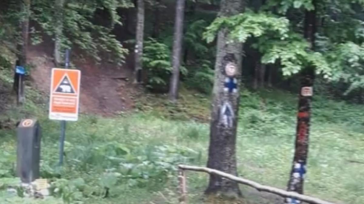 via-mariae--traseul-de-pelerinaj-care-leaga-romania-de-austria--prc-e2prc-80prc-9ene-conectam-cu-dumnezeu-si-cu-naturaprc-e2prc-80prc-9d