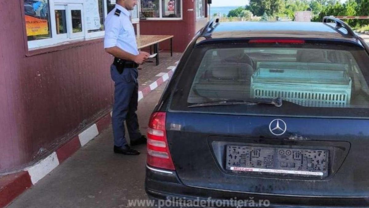 moldovean--oprit-cand-incerca-sa-paraseasca-romania--ce-a-putut-sa-faca-acesta