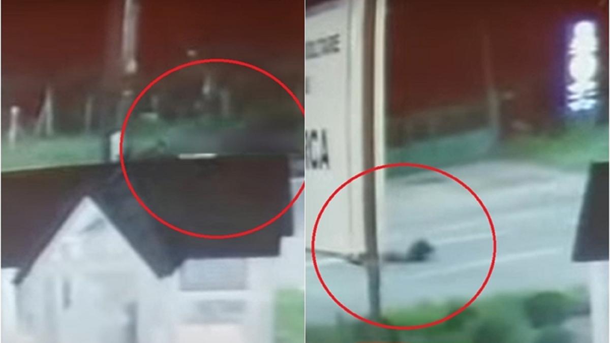 momentul-teribil-in-care-un-roman-a-fost-spulberat-pe-sosea--coborase-din-autocarul-care-l-aducea-din-italia---video