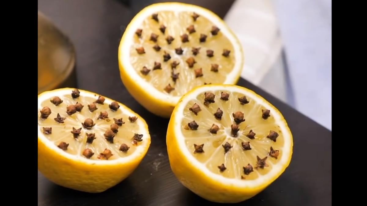 infige-cateva-cuisoare-intr-o-jumatate-de-lamaie-rezultat-neasteptat-pentru-noptile-de-vara--ne-vei-multumi