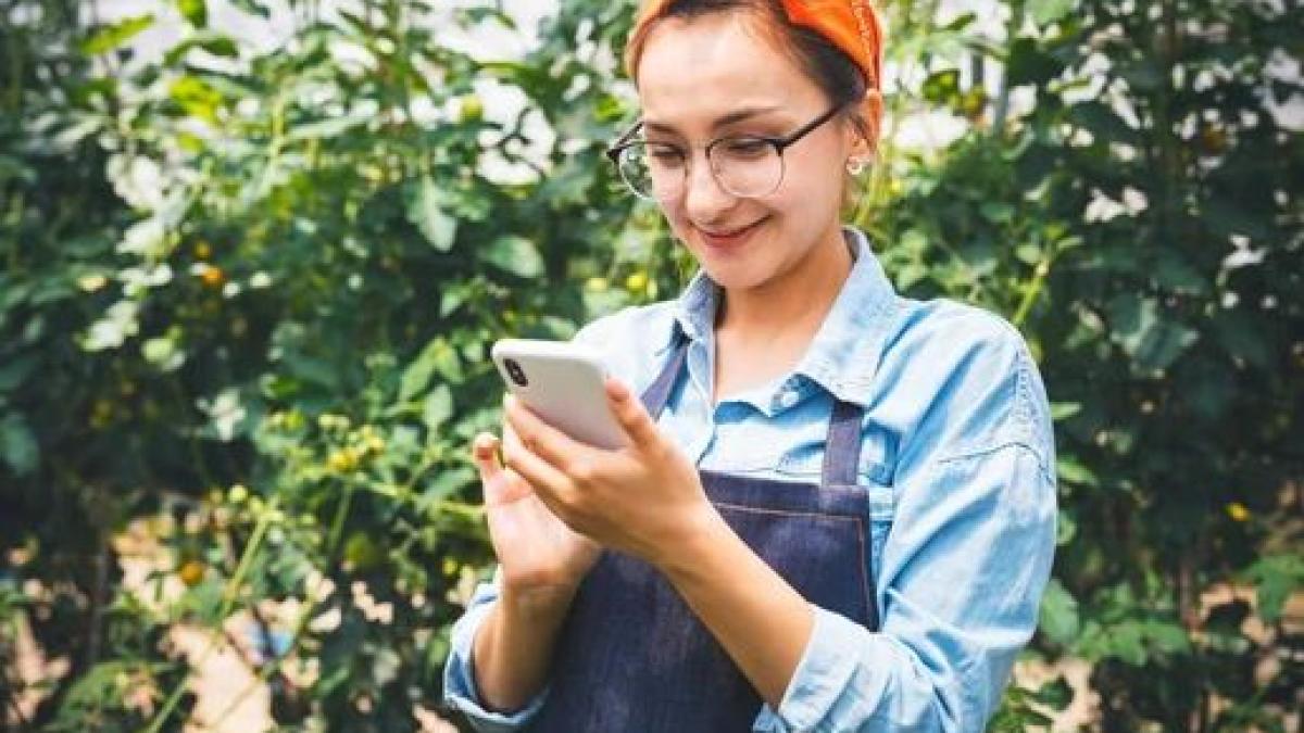 aplicatie_munca_italia