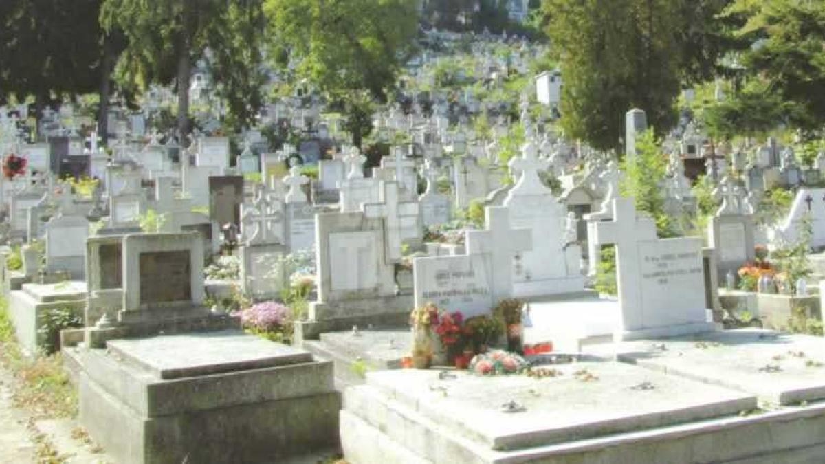 cimitir_morminte