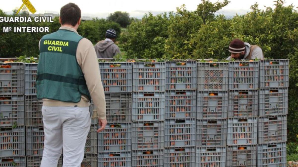 spania--un-roman-exploata-oamenii-care-cautau-de-munca--ii-tinea-in-conditii-insalubre-si-ii-punea-sa-lucreze-la-negru