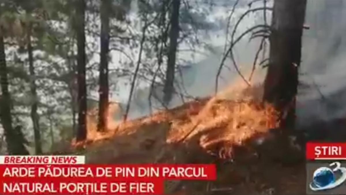 incendiu-vegetatie-romania-parcul-national-portile-de-fier