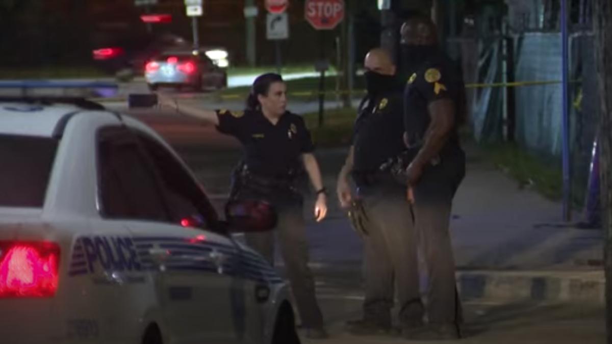 miami-florida-impuscaturi-capt-vid