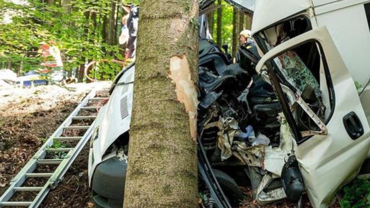 accident-austria-roman-31-de-ani