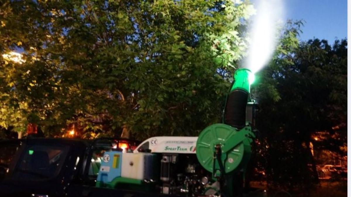 tantari-purtatori-ai-virusului-west-nile--depistati-in-bucuresti--primaria-capitalei-anunta-ca-a-luat-masuri-urgente