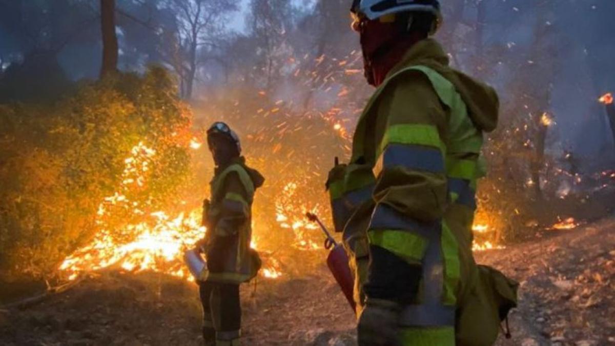 franta--un-incendiu-de-vegetatie-a-provocat-pene-de-curent-in-spania-si-portugalia--sute-de-pompieri-au-intervenit