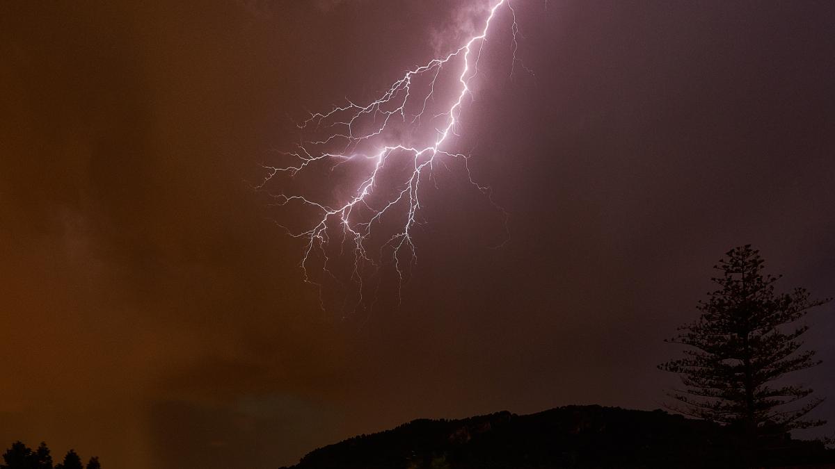 un-barbat-si-un-adolescent--loviti-de-trasnet--intr-o-padure-din-suceava