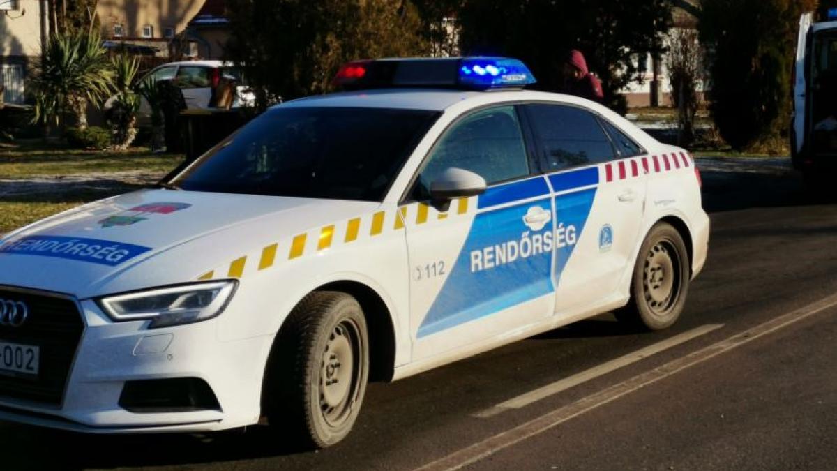 ungara--sofer-roman--tras-pe-dreapta-de-politisti--risca-sa-fie-arestat-pentru-trafic-de-persoane