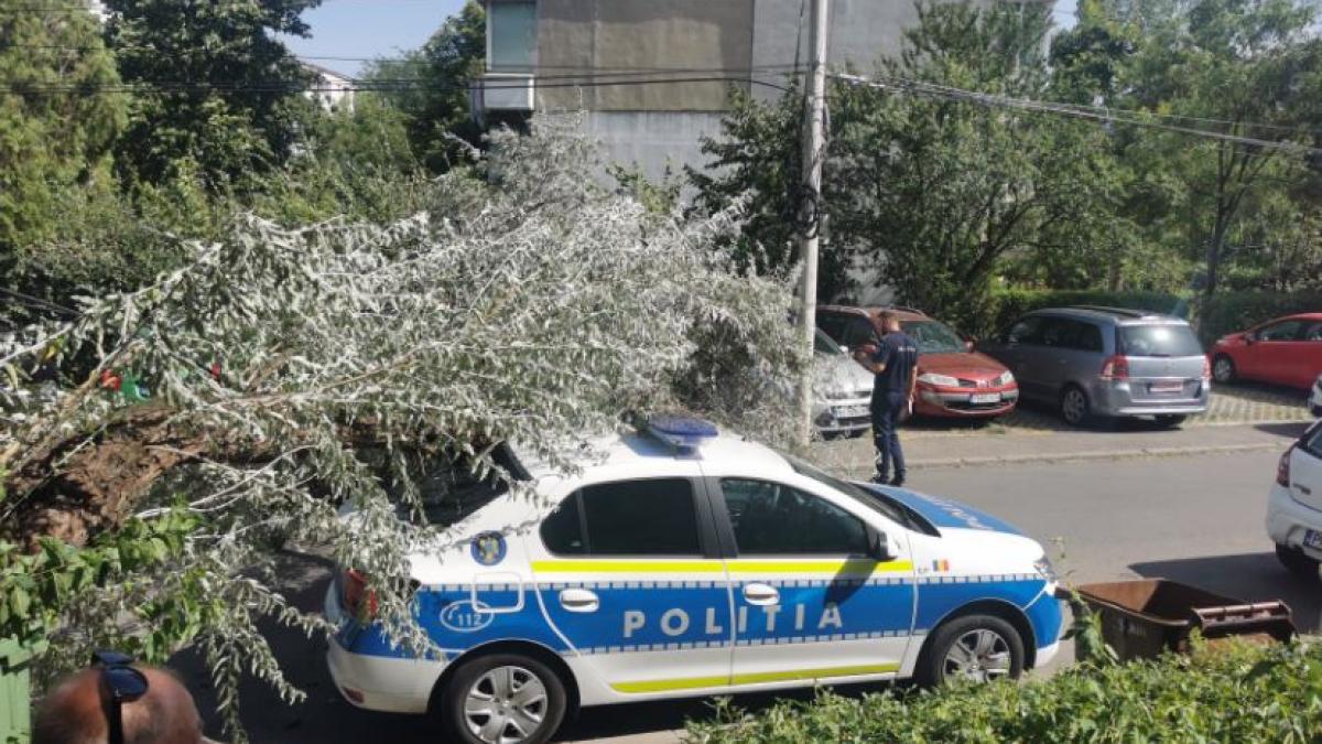 masina-de-politie--strivita-de-un-copac--un-politist--care-era-in-automobil--la-un-pas-de-a-fi-ranit