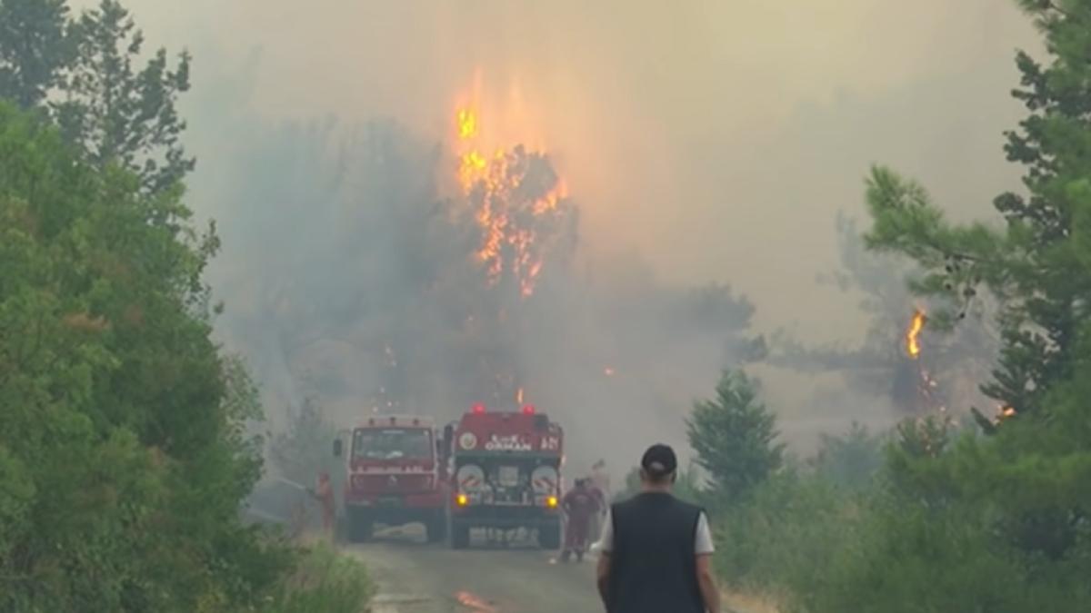 marinar-roman--martor-la-incendiile-din-turcia--prc-e2prc-80prc-9eincercau-sa-stinga-incendiul-cu-mainile-goaleprc-e2prc-80prc-9d