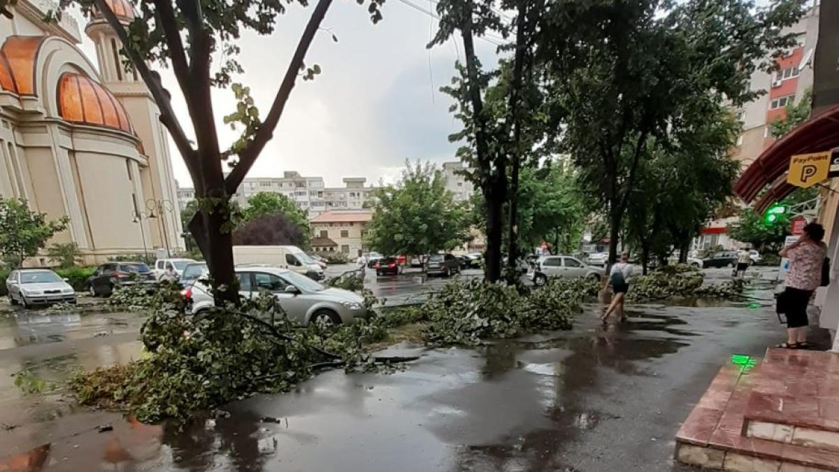 dezastru-in-braila--dupa-o-furtuna-puternica--30-de-copaci-au-cazut-pe-automobile--carosabil-si-cablurile-electrice-sutrsa---debraila-ro