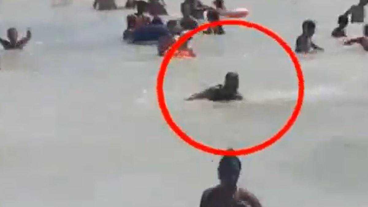 un-barbat-beat-s-a-certat-salvamarii--dupa-ce-a-fost-salvat-de-la-inec--la-costinesti