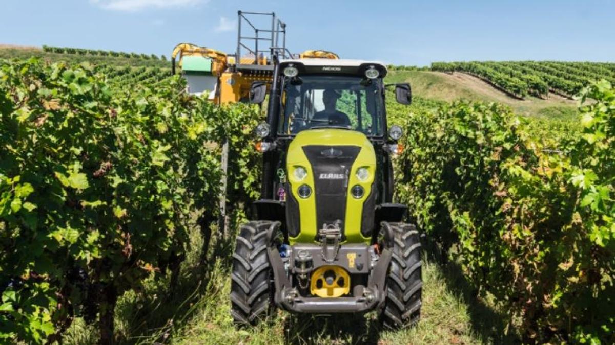 portugalia--mai-multi-moldoveni--exploatati-pe-campurile-agricole--oamenii-nu-sunt-platiti-si-au-ramas-si-pasapoarte