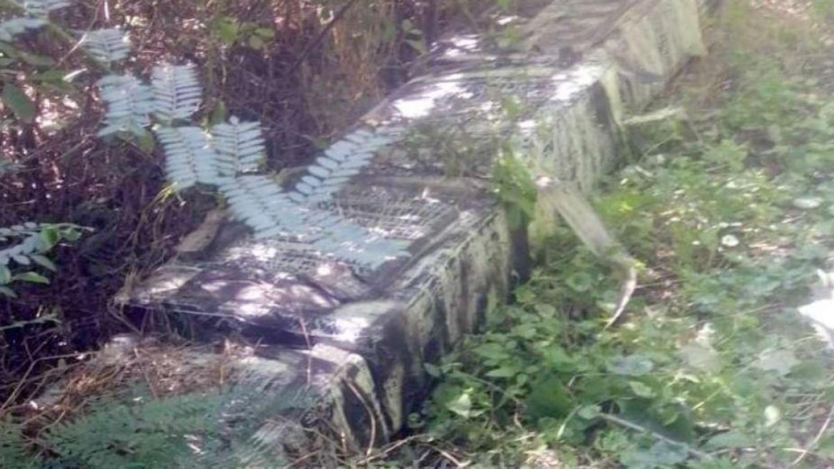 o-adevarata-comoara--gasita-de-politistii-de-frontiera--era-ascunsa-in-vegetatia-de-la-malul-prutului