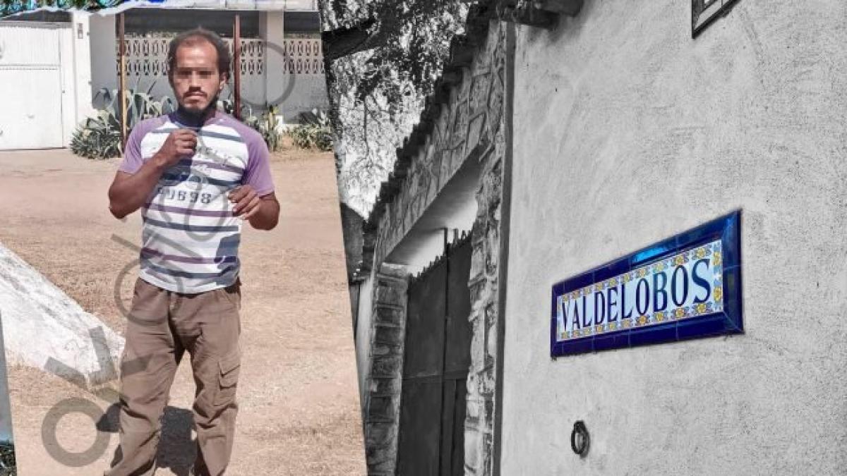 roman-furt-valedelobos-mort